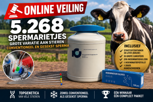 Online Veiling